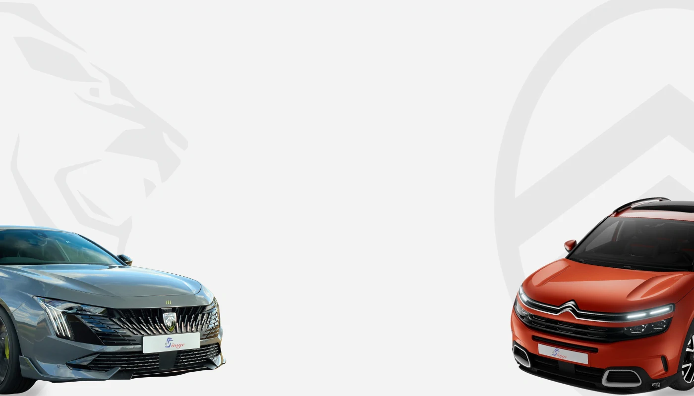 ankara peugeot servisi